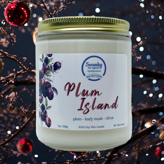 Plum Island | Jar Candle